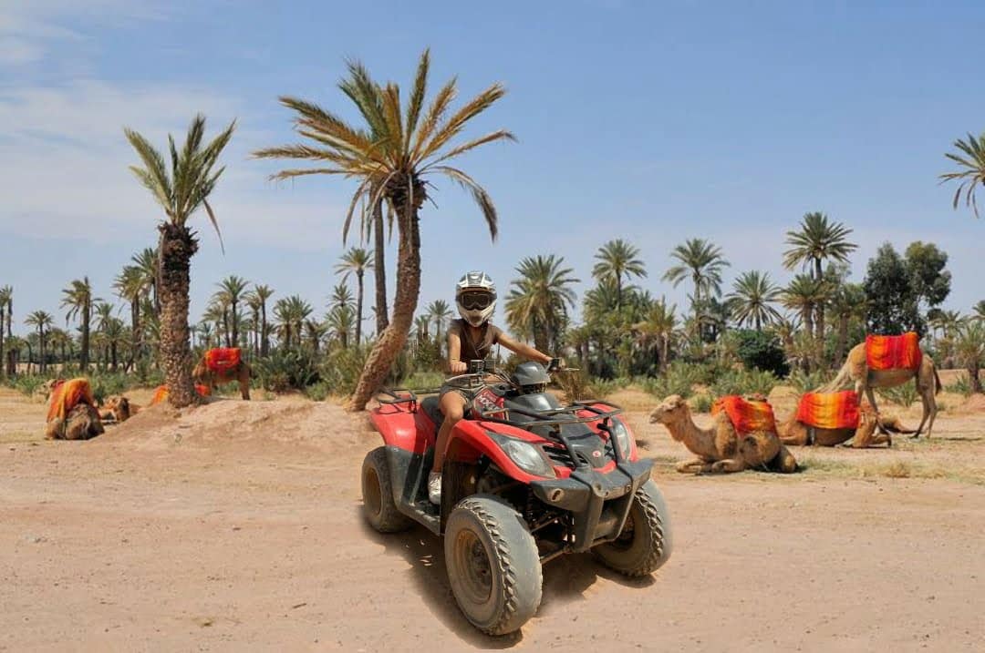 Palmeraie Quad And Or Camel Excursion In Marrakech Souf Excursions